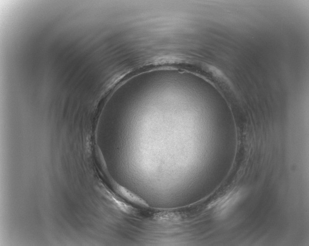 X0000066011217200603101548