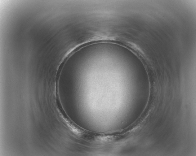 X0000066011220200603101548