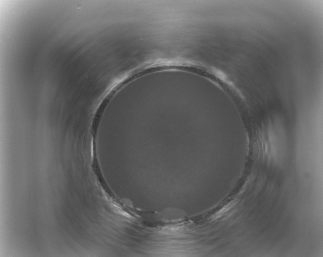 X0000066011221200603101548