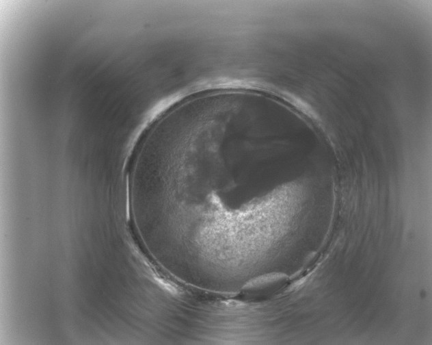 X0000066011223200603101548