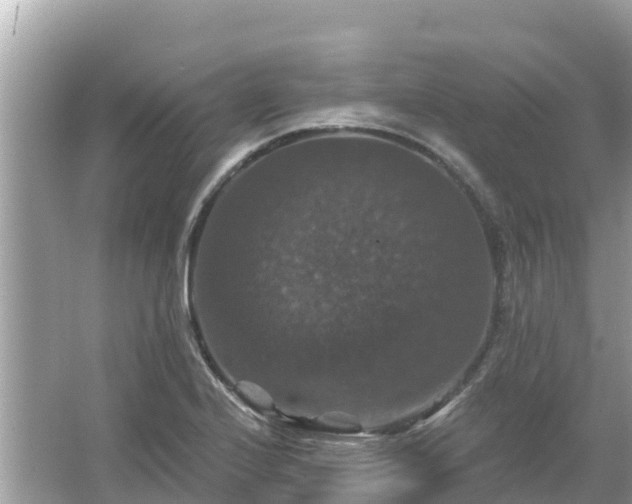 X0000066011224200603101548