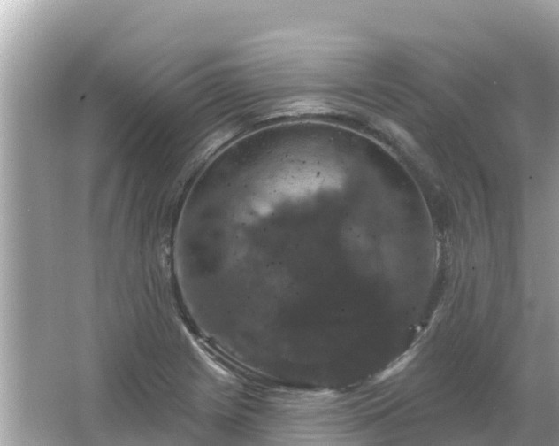 X0000066011225200603101548