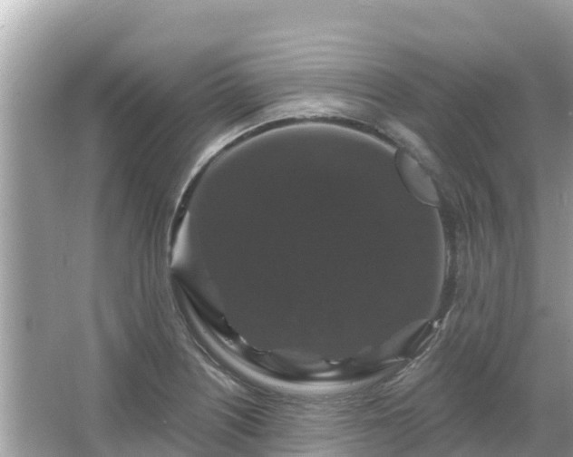 X0000066011226200603101548