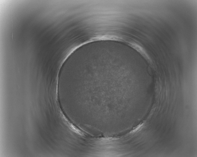 X0000066011228200603101548