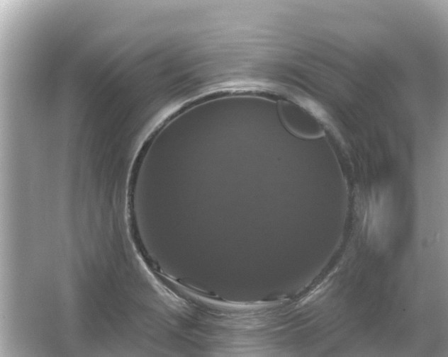 X0000066011229200603101548