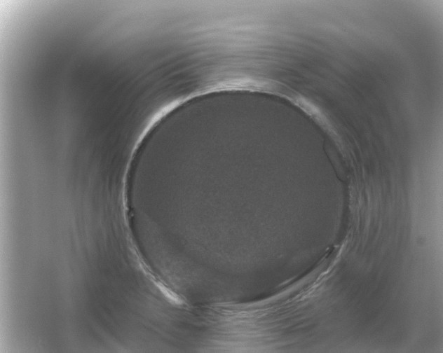 X0000066011230200603101548