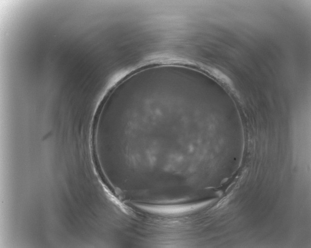 X0000066011231200603101548