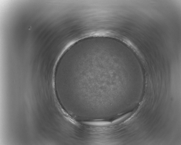 X0000066011232200603101548