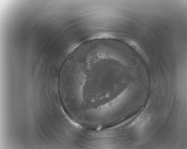 X0000066011233200603101548