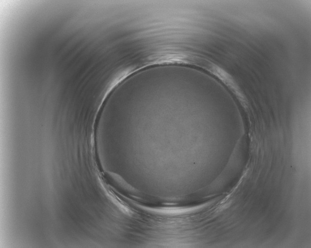 X0000066011234200603101548