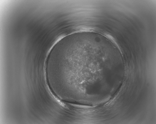 X0000066011235200603101548