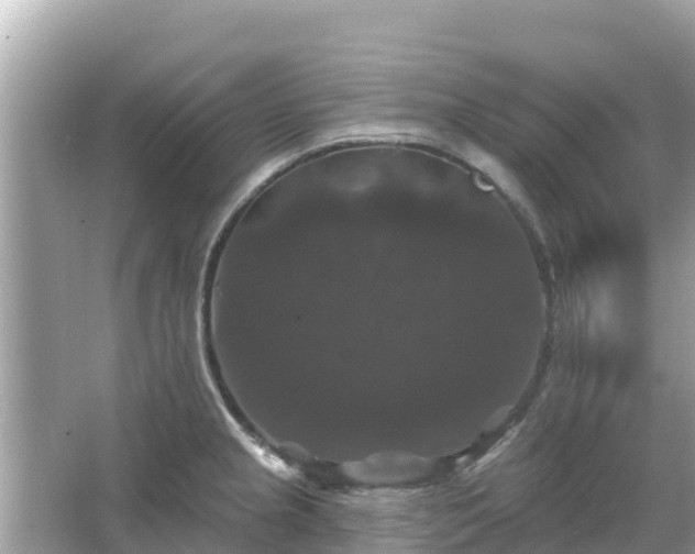 X0000066011237200603101548