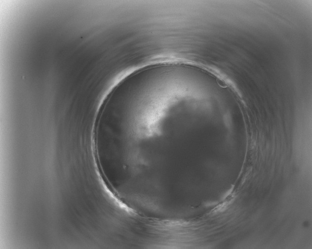 X0000066011239200603101548