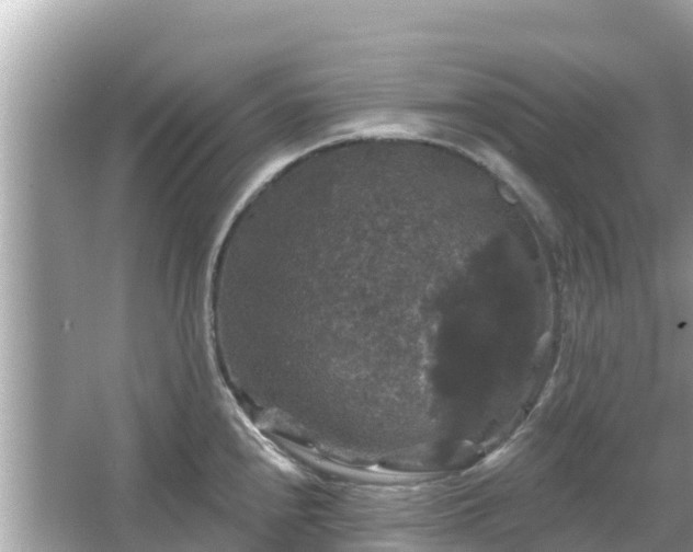 X0000066011240200603101548