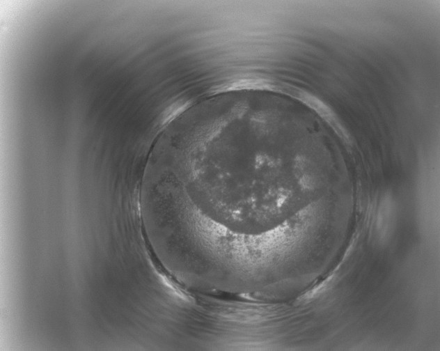 X0000066011241200603101548