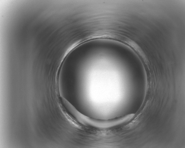 X0000066011242200603101548