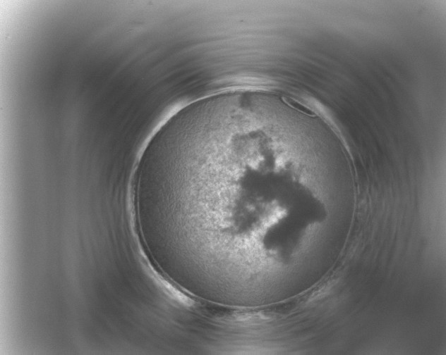 X0000066011243200603101548