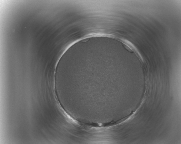 X0000066011244200603101548