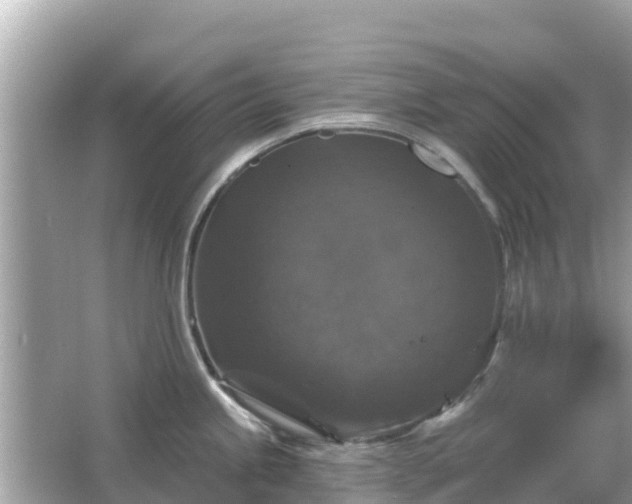 X0000066011245200603101548