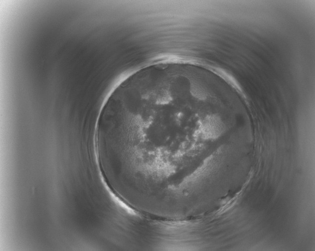 X0000066011247200603101548