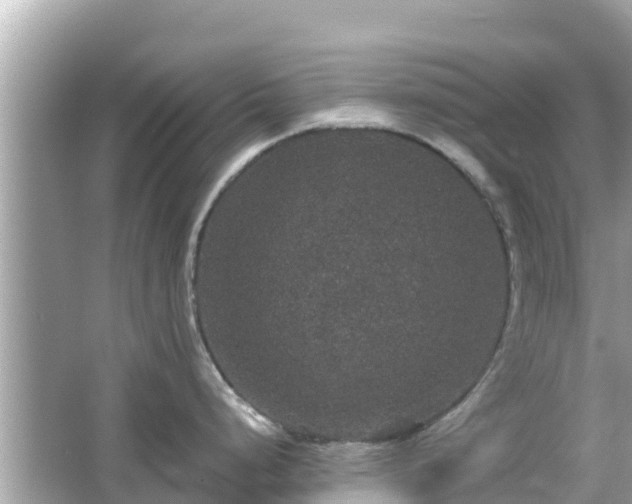 X0000066011248200603101548