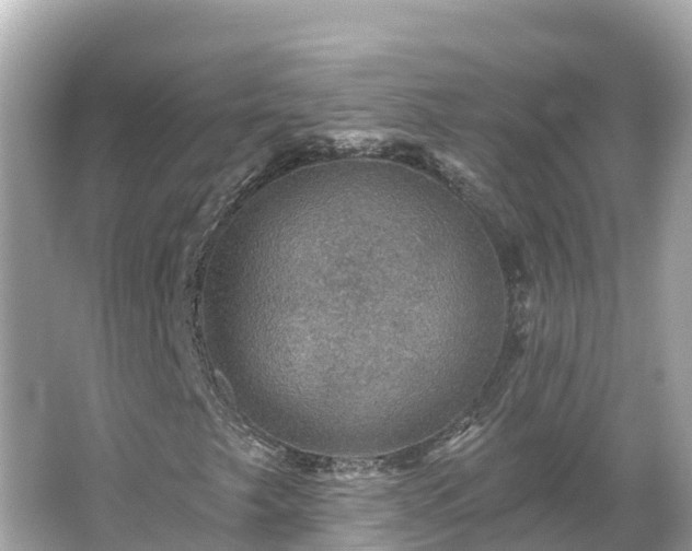 X0000066011249200603101547