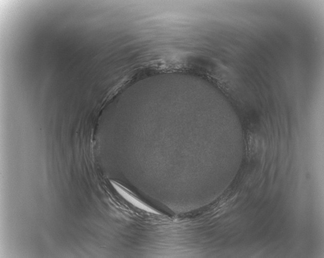 X0000066011250200603101547