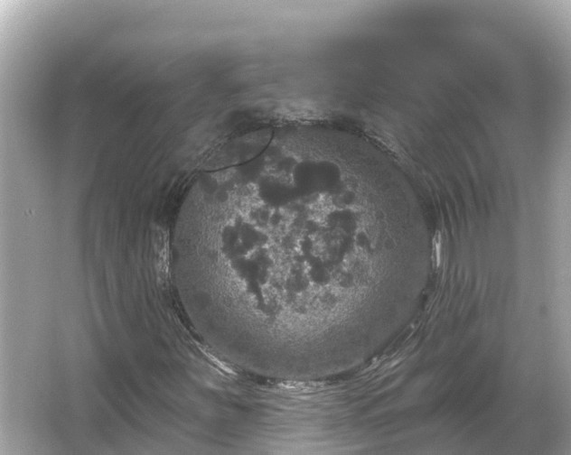 X0000066011251200603101547