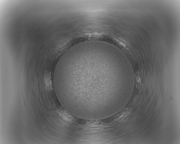 X0000066011252200603101547