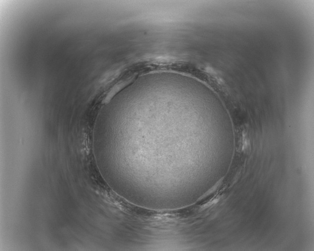 X0000066011253200603101547