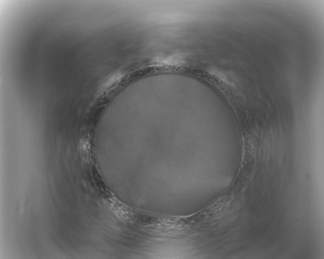 X0000066011254200603101547