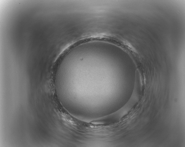 X0000066011256200603101547