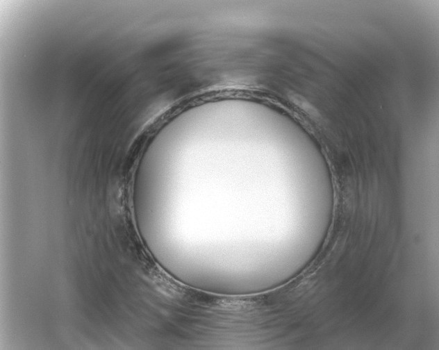 X0000066011258200603101547