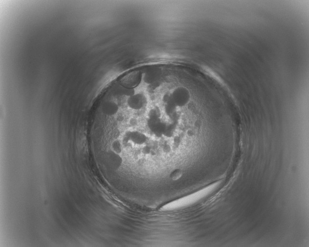 X0000066011259200603101547