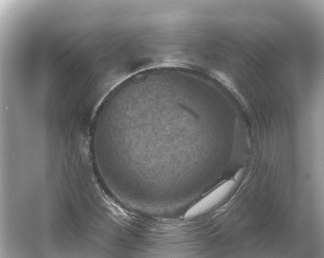 X0000066011260200603101547