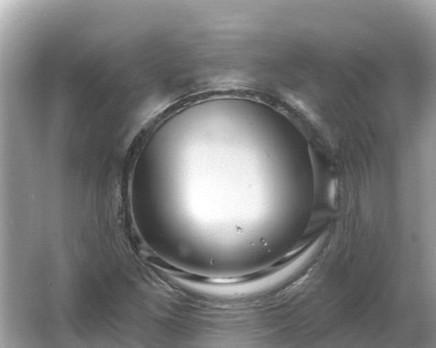 X0000066011261200603101547