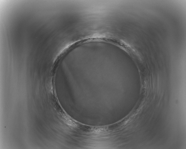 X0000066011262200603101547