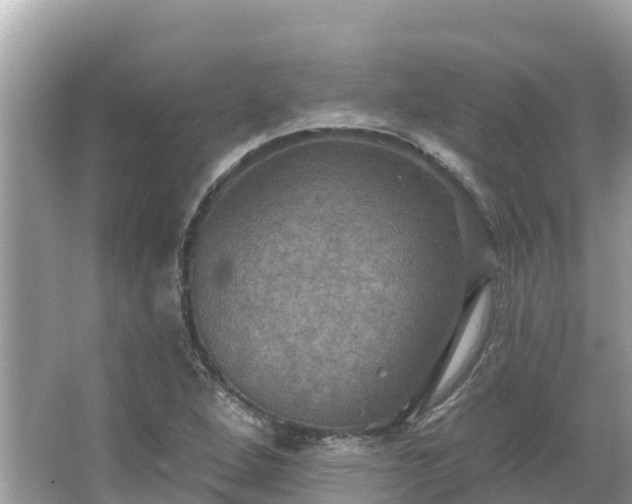 X0000066011264200603101547