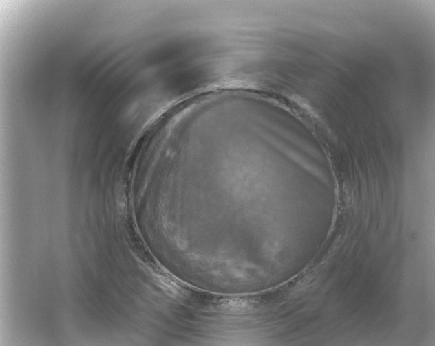 X0000066011266200603101547