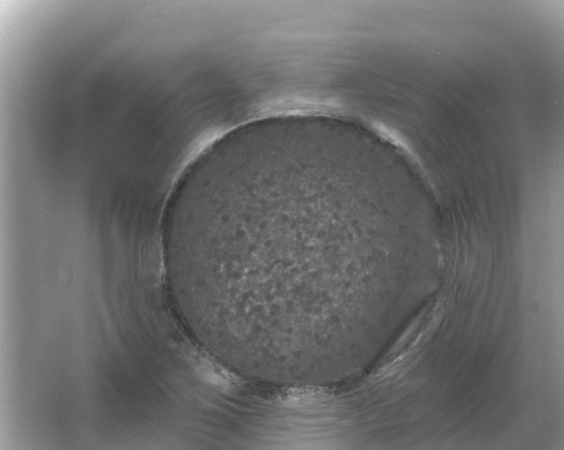 X0000066011267200603101547