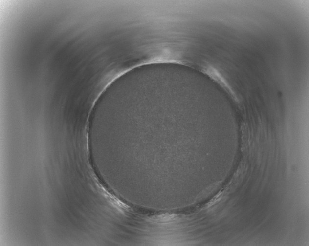 X0000066011268200603101547