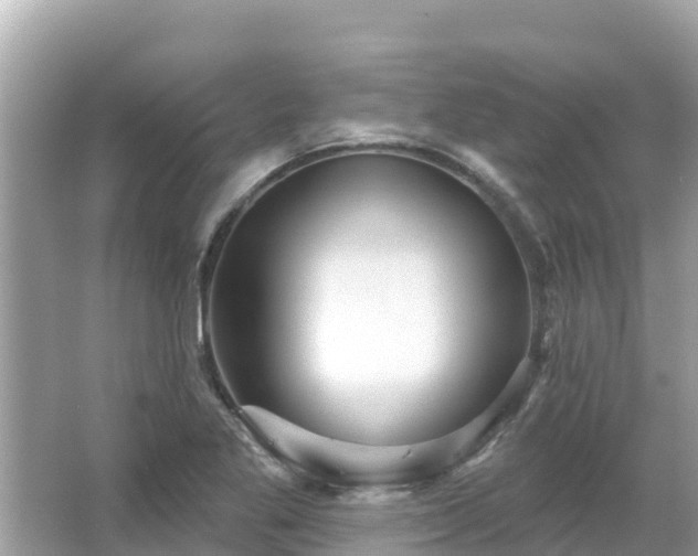 X0000066011269200603101547