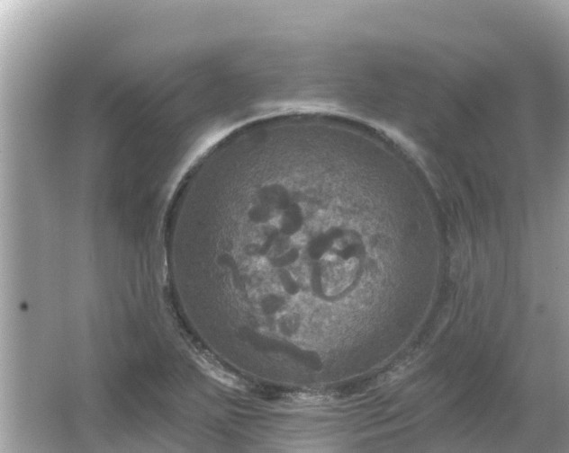 X0000066011271200603101547