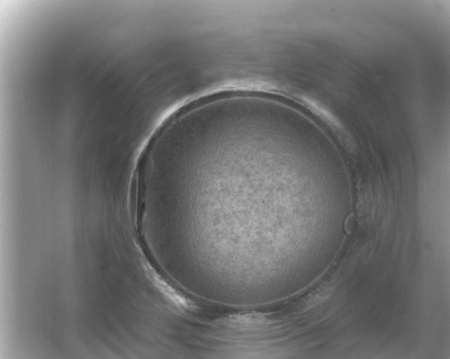 X0000066011272200603101547