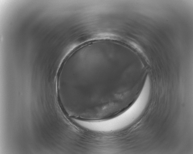 X0000066011275200603101547