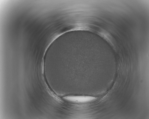 X0000066011276200603101547