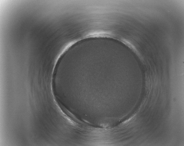 X0000066011277200603101547