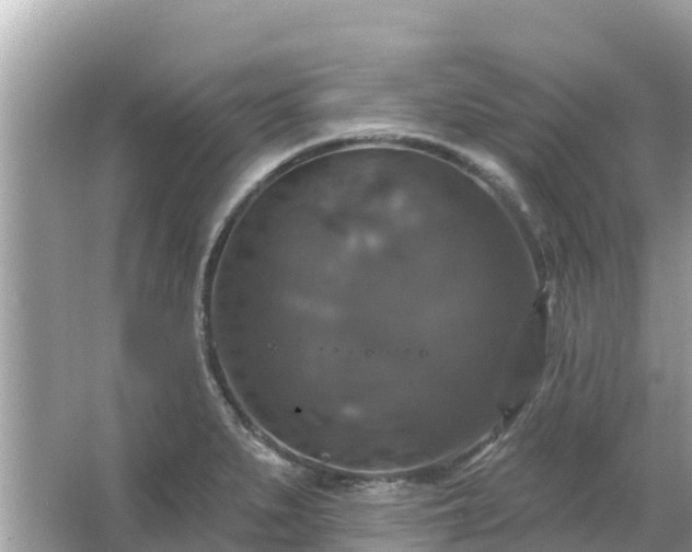 X0000066011279200603101547