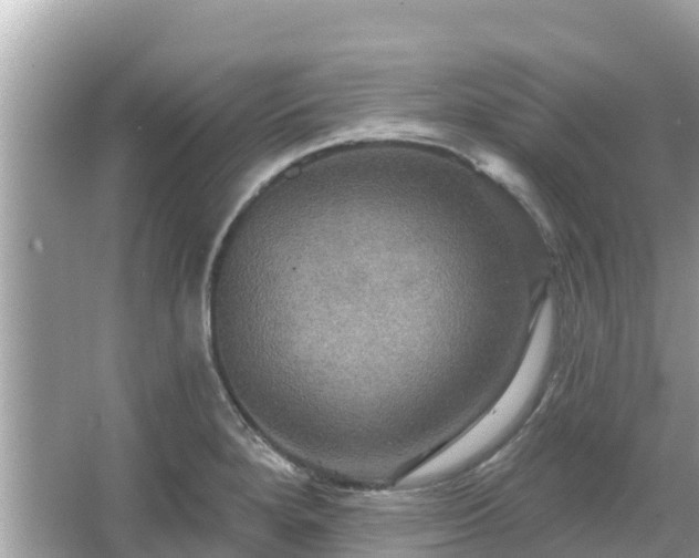 X0000066011280200603101547