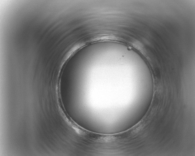 X0000066011282200603101547